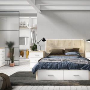 Composición Evolution 01