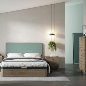 Composición Evolution 02