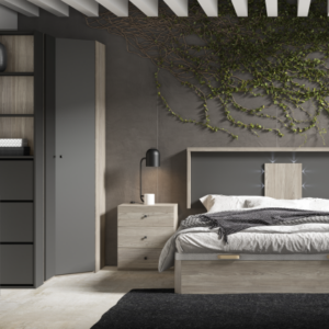 Composición Evolution 09