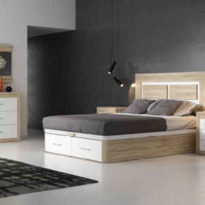 Composición Evolution 14