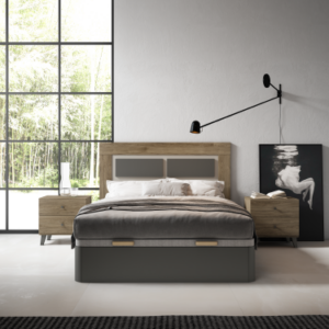 Composción Evolution 15