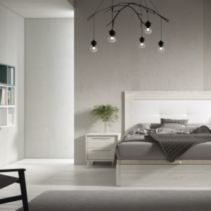 Composición Evolution 19