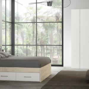 Composición Evolution 20