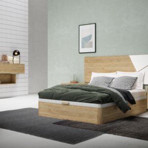 Composición Evolution 22