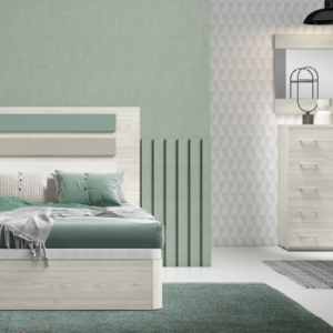 Commposición Evolution 26